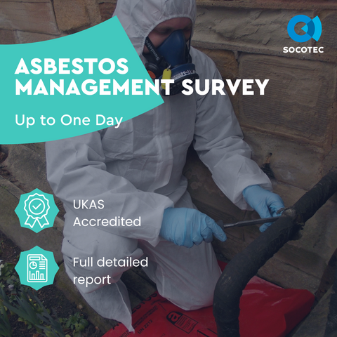 Up to One day Asbestos Management Survey