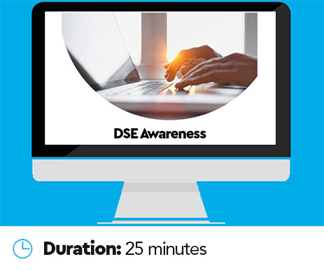 Display Screen Equipment (DSE) Online Training